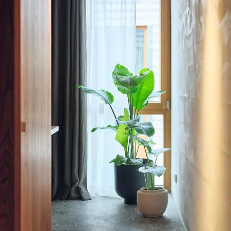 Artbau Designhotel * Waldkirch