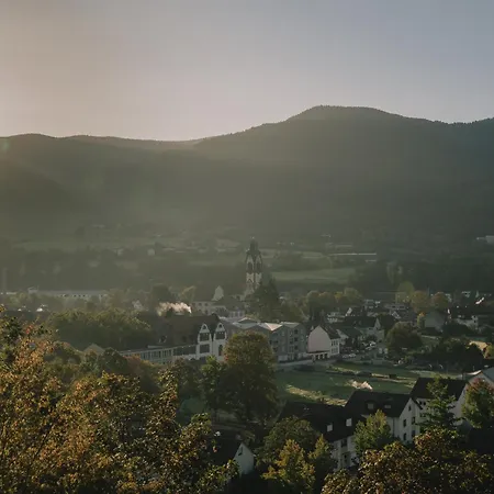 Artbau Designhotel *