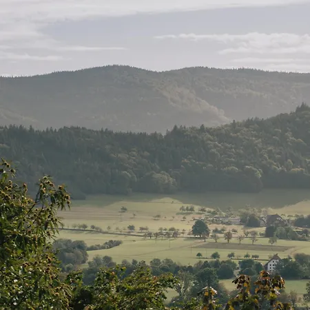 Artbau Designhotel * Waldkirch