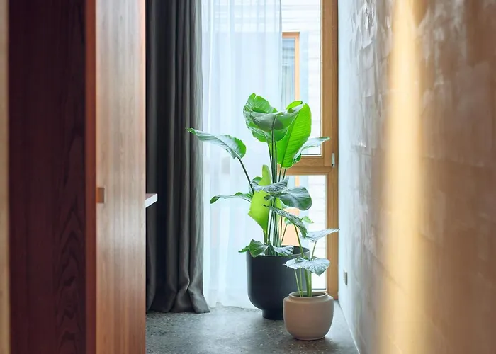 Artbau Designhotel * Waldkirch