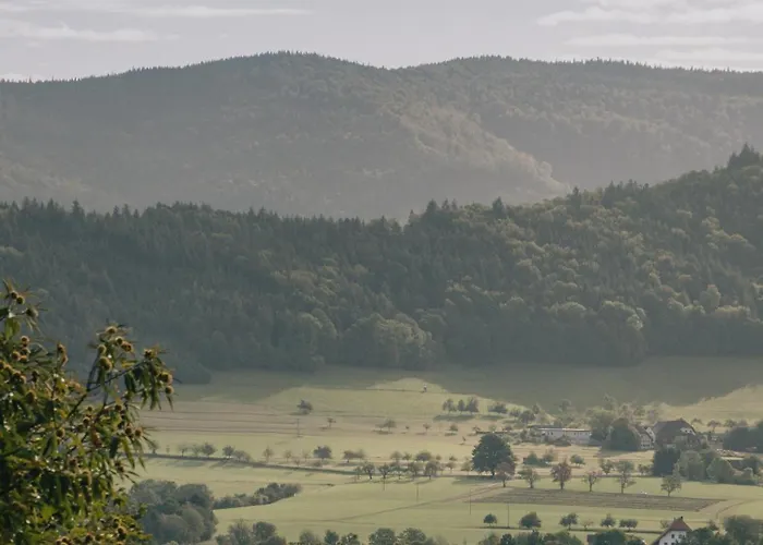 Artbau Designhotel * Waldkirch